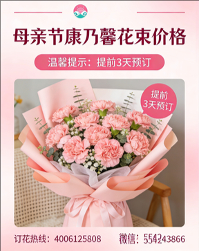 宜兴花店母亲节康乃馨花束