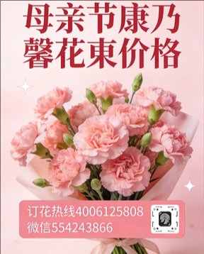 宜兴花店母亲节康乃馨花束